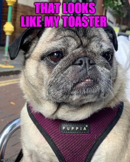 THAT LOOKS LIKE MY TOASTER | made w/ Imgflip meme maker