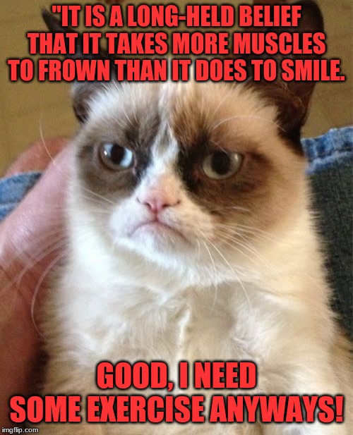 Grumpy Cat Meme | "IT IS A LONG-HELD BELIEF THAT IT TAKES MORE MUSCLES TO FROWN THAN IT DOES TO SMILE. GOOD, I NEED SOME EXERCISE ANYWAYS! | image tagged in memes,grumpy cat | made w/ Imgflip meme maker