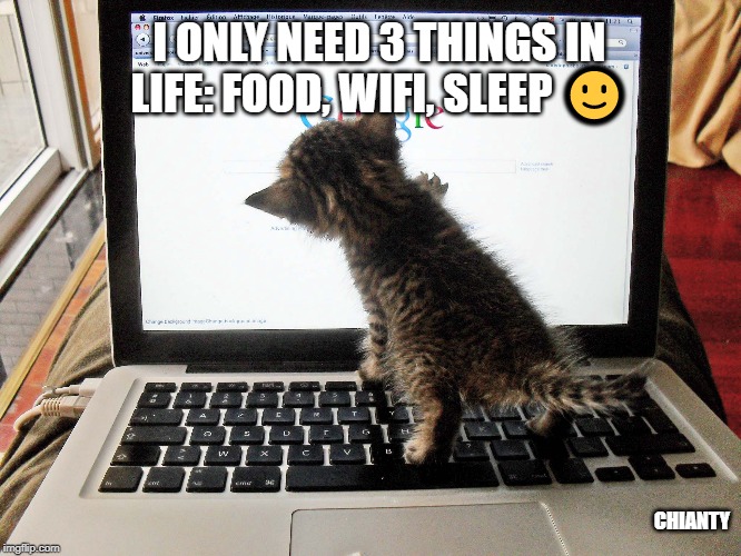 Three things | I ONLY NEED 3 THINGS IN LIFE: FOOD, WIFI, SLEEP 🙂; CHIANTY | image tagged in my life | made w/ Imgflip meme maker