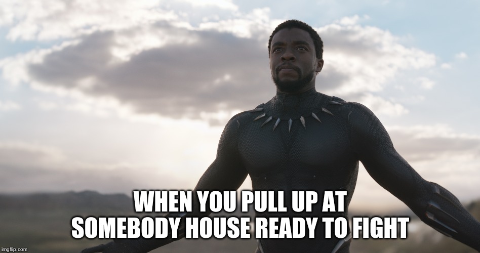 Black Panther Spotlight | WHEN YOU PULL UP AT SOMEBODY HOUSE READY TO FIGHT | image tagged in black panther spotlight | made w/ Imgflip meme maker