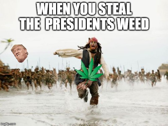 Jack Sparrow Being Chased | WHEN YOU STEAL THE  PRESIDENTS WEED | image tagged in memes,jack sparrow being chased | made w/ Imgflip meme maker