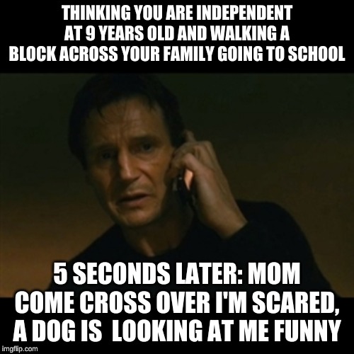 Liam Neeson Taken | THINKING YOU ARE INDEPENDENT AT 9 YEARS OLD AND WALKING A BLOCK ACROSS YOUR FAMILY GOING TO SCHOOL; 5 SECONDS LATER: MOM COME CROSS OVER I'M SCARED, A DOG IS  LOOKING AT ME FUNNY | image tagged in memes,liam neeson taken | made w/ Imgflip meme maker
