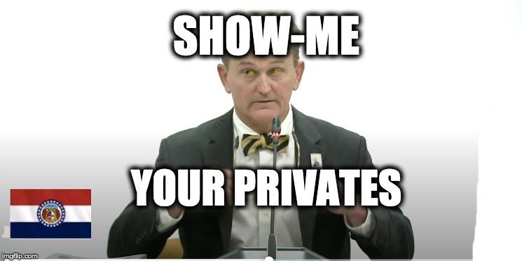 SHOW-ME; YOUR PRIVATES | image tagged in missouri,show-me state,perverts | made w/ Imgflip meme maker