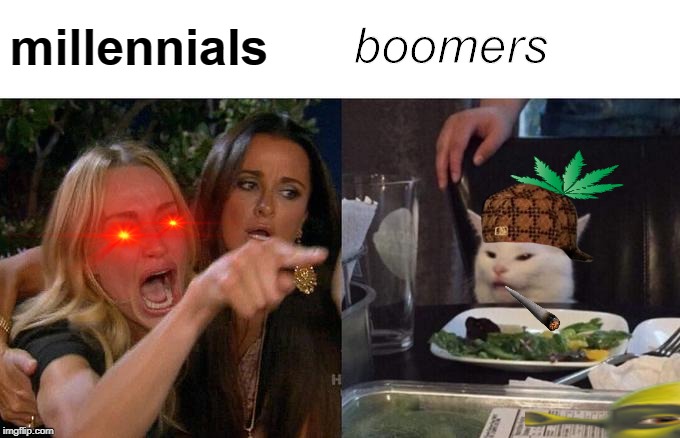 Woman Yelling At Cat | millennials; boomers | image tagged in memes,woman yelling at cat | made w/ Imgflip meme maker