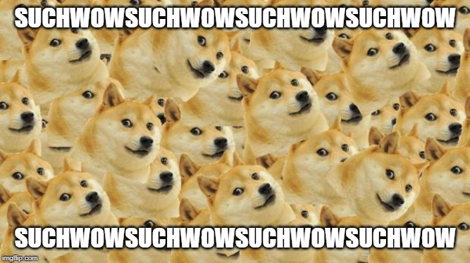 Multi Doge | SUCHWOWSUCHWOWSUCHWOWSUCHWOW; SUCHWOWSUCHWOWSUCHWOWSUCHWOW | image tagged in memes,multi doge | made w/ Imgflip meme maker