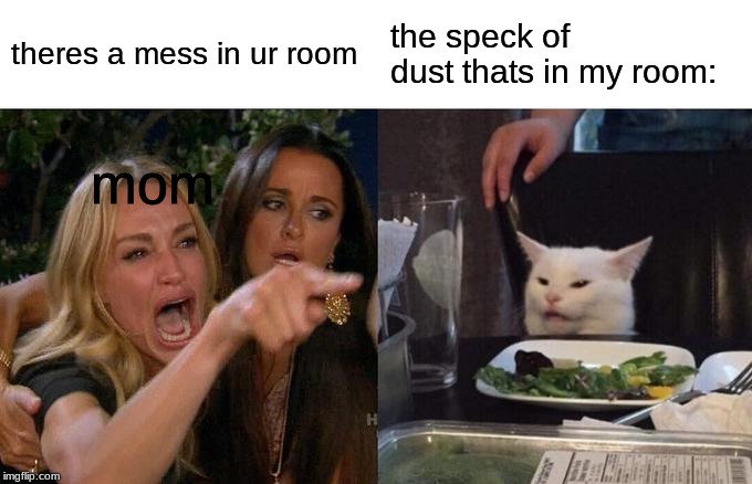 Woman Yelling At Cat | theres a mess in ur room; the speck of dust thats in my room:; mom | image tagged in memes,woman yelling at cat | made w/ Imgflip meme maker