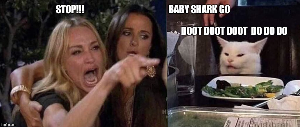 woman yelling at cat | STOP!!!                                                BABY SHARK GO        
                                                               
                                                                                                DOOT DOOT DOOT  DO DO DO | image tagged in woman yelling at cat | made w/ Imgflip meme maker