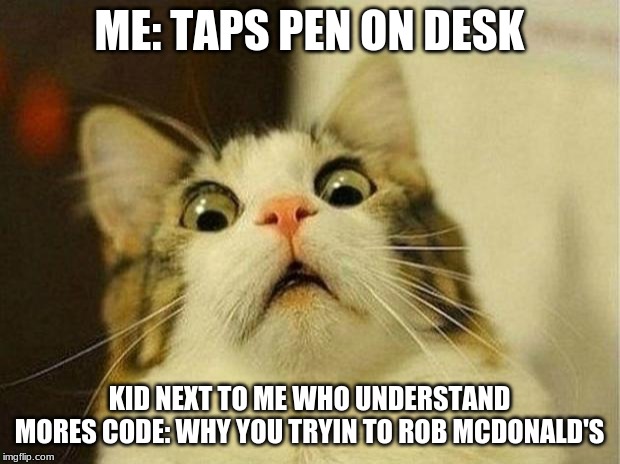 Scared Cat Meme | ME: TAPS PEN ON DESK; KID NEXT TO ME WHO UNDERSTAND MORES CODE: WHY YOU TRYIN TO ROB MCDONALD'S | image tagged in memes,scared cat | made w/ Imgflip meme maker