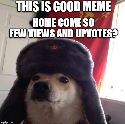 Russian Doge | THIS IS GOOD MEME HOME COME SO FEW VIEWS AND UPVOTES? | image tagged in russian doge | made w/ Imgflip meme maker