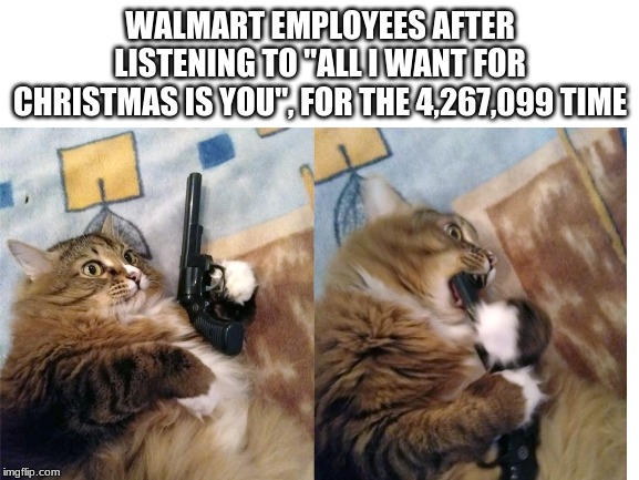 WALMART EMPLOYEES AFTER LISTENING TO "ALL I WANT FOR CHRISTMAS IS YOU", FOR THE 4,267,099 TIME | image tagged in walmart life | made w/ Imgflip meme maker