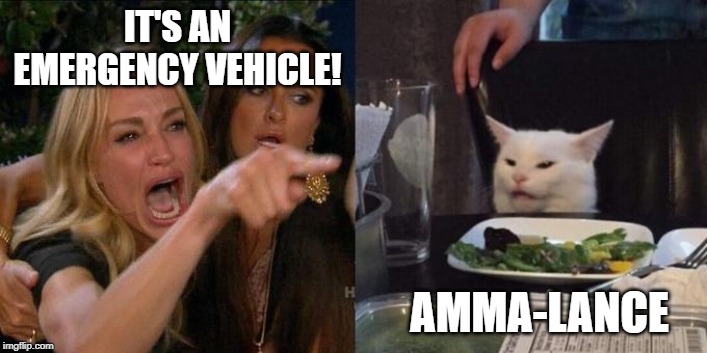 Woman Screaming at Cat | IT'S AN EMERGENCY VEHICLE! AMMA-LANCE | image tagged in woman screaming at cat | made w/ Imgflip meme maker