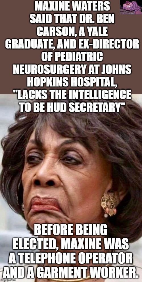 The Democrats need to keep this crazy women away from a microphone. | MAXINE WATERS SAID THAT DR. BEN CARSON, A YALE GRADUATE, AND EX-DIRECTOR OF PEDIATRIC NEUROSURGERY AT JOHNS HOPKINS HOSPITAL, "LACKS THE INTELLIGENCE TO BE HUD SECRETARY"; BEFORE BEING ELECTED, MAXINE WAS A TELEPHONE OPERATOR AND A GARMENT WORKER. | image tagged in maxine waters | made w/ Imgflip meme maker