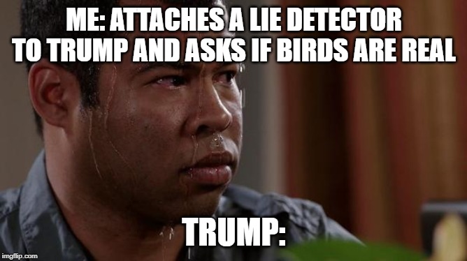 sweating bullets | ME: ATTACHES A LIE DETECTOR TO TRUMP AND ASKS IF BIRDS ARE REAL; TRUMP: | image tagged in sweating bullets | made w/ Imgflip meme maker