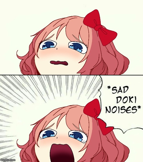 Sad Doki noises | image tagged in sad doki noises | made w/ Imgflip meme maker