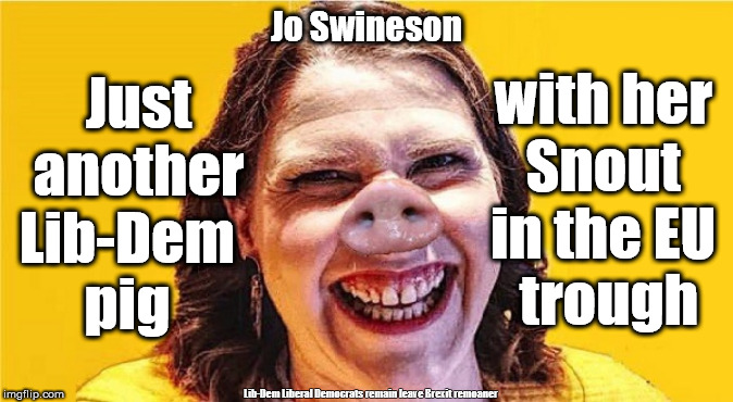 Swinson - nose in EU trough | Jo Swineson; Just
another
Lib-Dem  
pig; with her 
Snout 
in the EU 
trough; Lib-Dem Liberal Democrats remain leave Brexit remoaner | image tagged in jo swinson - swineson,liberal democrats,brexit election 2019,brexit boris corbyn farage swinson trump,remain leave remoan brexit | made w/ Imgflip meme maker