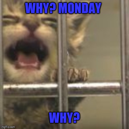 WHY? MONDAY WHY? | made w/ Imgflip meme maker