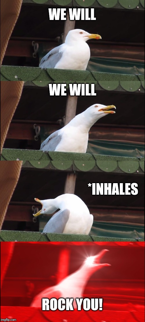 Inhaling Seagull Meme | WE WILL WE WILL *INHALES ROCK YOU! | image tagged in memes,inhaling seagull | made w/ Imgflip meme maker