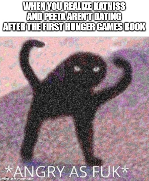ANGRY AS FUK | WHEN YOU REALIZE KATNISS AND PEETA AREN'T DATING AFTER THE FIRST HUNGER GAMES BOOK | image tagged in angry as fuk | made w/ Imgflip meme maker