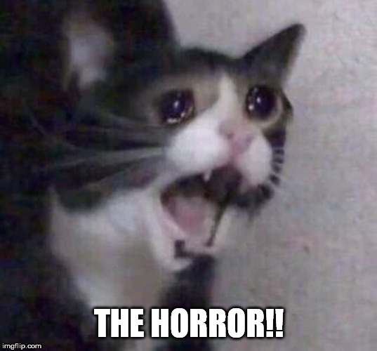 Crying Cat | THE HORROR!! | image tagged in crying cat | made w/ Imgflip meme maker