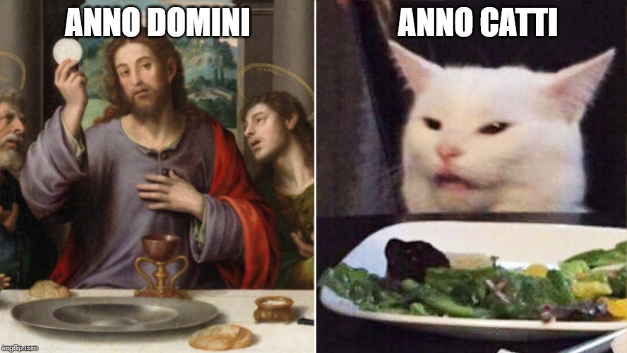 2019, the year of our cat, in review | ANNO CATTI; ANNO DOMINI | image tagged in anno catti,cat,woman yelling at cat,smudge the cat | made w/ Imgflip meme maker