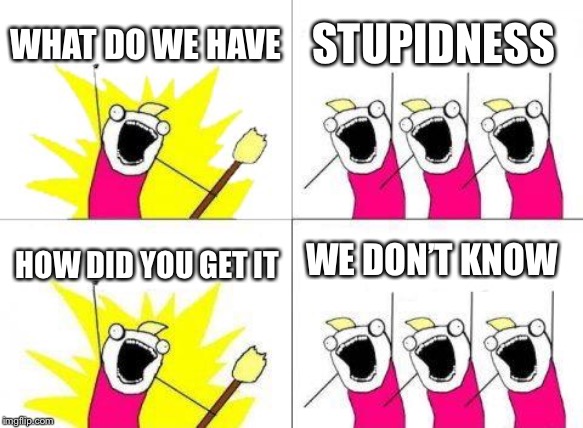 What Do We Want | WHAT DO WE HAVE; STUPIDNESS; WE DON’T KNOW; HOW DID YOU GET IT | image tagged in memes,what do we want | made w/ Imgflip meme maker