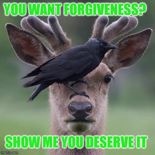 YOU WANT FORGIVENESS? SHOW ME YOU DESERVE IT | made w/ Imgflip meme maker