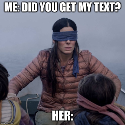 Bird Box Meme | ME: DID YOU GET MY TEXT? HER: | image tagged in memes,bird box | made w/ Imgflip meme maker