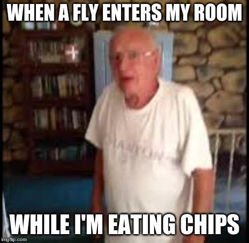 oh shoot | WHEN A FLY ENTERS MY ROOM; WHILE I'M EATING CHIPS | image tagged in oh shoot | made w/ Imgflip meme maker