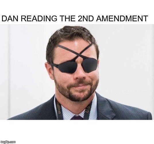 Blind Side | DAN READING THE 2ND AMENDMENT | image tagged in 2nd amendment,gun rights,funny memes,politics | made w/ Imgflip meme maker