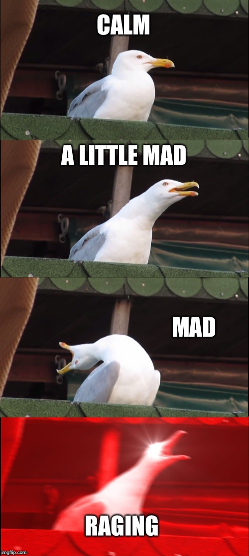 Inhaling Seagull | CALM; A LITTLE MAD; MAD; RAGING | image tagged in memes,inhaling seagull | made w/ Imgflip meme maker