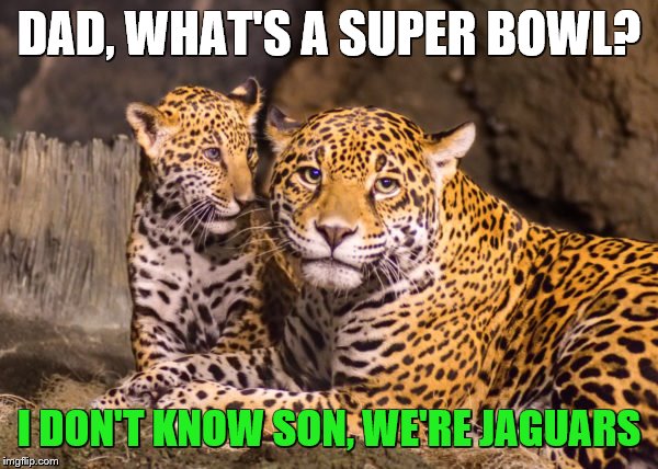 Jacksonville Jaguars | DAD, WHAT'S A SUPER BOWL? I DON'T KNOW SON, WE'RE JAGUARS | image tagged in jaguar | made w/ Imgflip meme maker