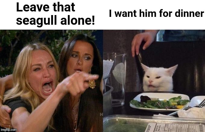 Woman Yelling At Cat Meme | Leave that seagull alone! I want him for dinner | image tagged in memes,woman yelling at cat | made w/ Imgflip meme maker