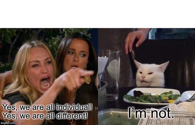 Woman Yelling At Cat Meme | Yes, we are all individual! Yes, we are all different! I’m not. | image tagged in memes,woman yelling at cat | made w/ Imgflip meme maker