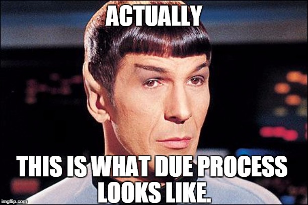 Condescending Spock | ACTUALLY THIS IS WHAT DUE PROCESS 
LOOKS LIKE. | image tagged in condescending spock | made w/ Imgflip meme maker