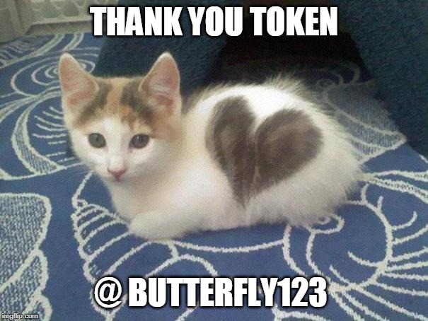 cute cat heart | THANK YOU TOKEN; @ BUTTERFLY123 | image tagged in cute cat heart | made w/ Imgflip meme maker