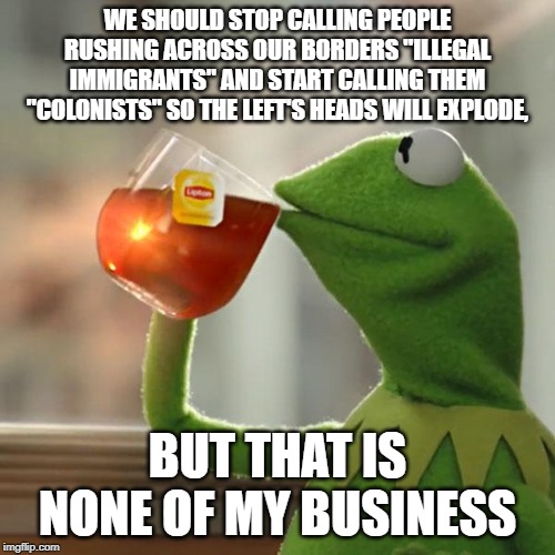 But That's None Of My Business | WE SHOULD STOP CALLING PEOPLE RUSHING ACROSS OUR BORDERS "ILLEGAL IMMIGRANTS" AND START CALLING THEM "COLONISTS" SO THE LEFT'S HEADS WILL EXPLODE, BUT THAT IS NONE OF MY BUSINESS | image tagged in memes,but thats none of my business,kermit the frog,politics,political meme | made w/ Imgflip meme maker