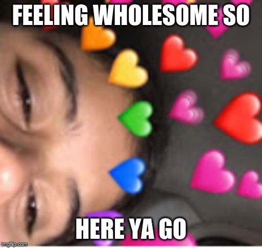 FEELING WHOLESOME SO; HERE YA GO | image tagged in feeling cute,wholesome | made w/ Imgflip meme maker