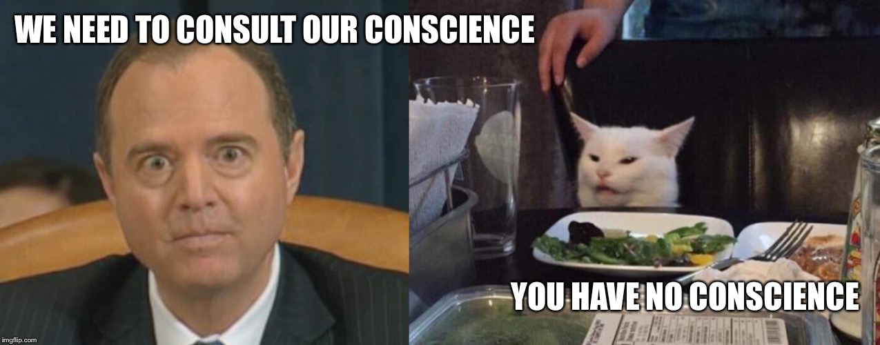 WE NEED TO CONSULT OUR CONSCIENCE; YOU HAVE NO CONSCIENCE | image tagged in crazy adam schiff,cat at table | made w/ Imgflip meme maker