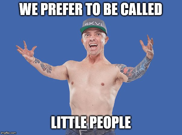 Wee Man | WE PREFER TO BE CALLED LITTLE PEOPLE | image tagged in wee man | made w/ Imgflip meme maker