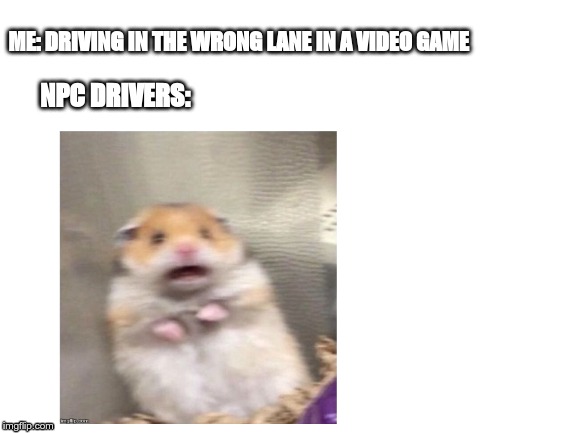 Blank White Template | ME: DRIVING IN THE WRONG LANE IN A VIDEO GAME; NPC DRIVERS: | image tagged in blank white template | made w/ Imgflip meme maker
