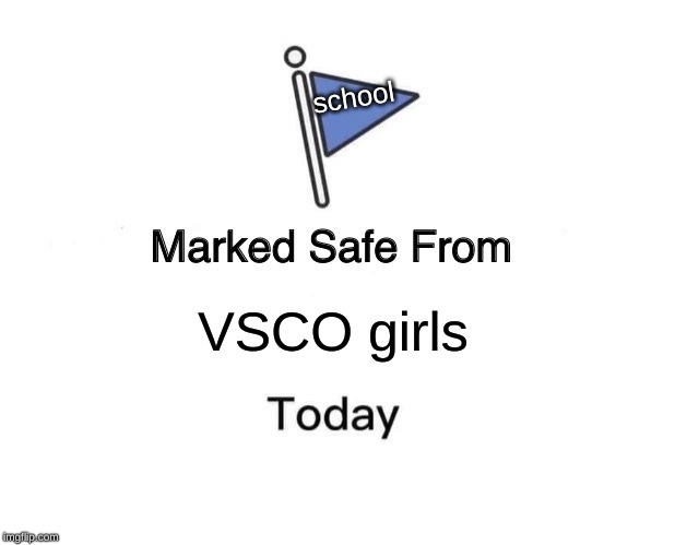 Marked Safe From | school; VSCO girls | image tagged in memes,marked safe from | made w/ Imgflip meme maker