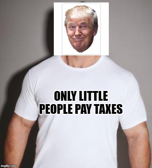 ONLY LITTLE PEOPLE PAY TAXES | image tagged in trump taxes | made w/ Imgflip meme maker