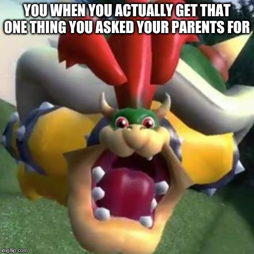 Bowser on LSD | YOU WHEN YOU ACTUALLY GET THAT ONE THING YOU ASKED YOUR PARENTS FOR | image tagged in bowser on lsd | made w/ Imgflip meme maker
