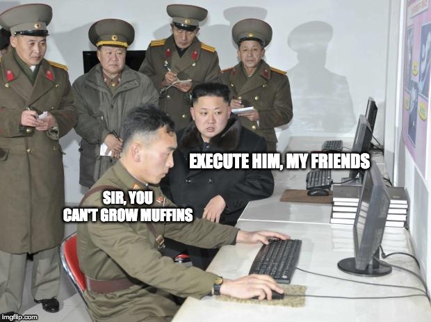 North Korean Computer | EXECUTE HIM, MY FRIENDS; SIR, YOU CAN'T GROW MUFFINS | image tagged in north korean computer | made w/ Imgflip meme maker