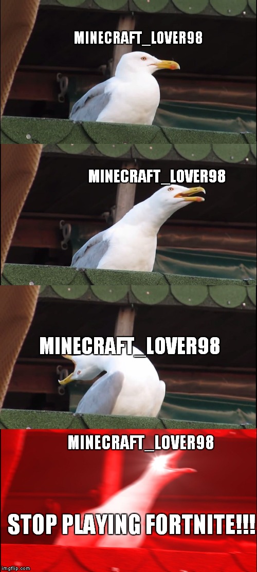 Inhaling Seagull | MINECRAFT_LOVER98; MINECRAFT_LOVER98; MINECRAFT_LOVER98; MINECRAFT_LOVER98; STOP PLAYING FORTNITE!!! | image tagged in memes,inhaling seagull | made w/ Imgflip meme maker