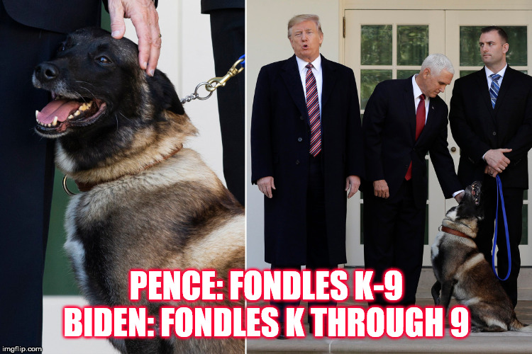PENCE: FONDLES K-9
BIDEN: FONDLES K THROUGH 9 | made w/ Imgflip meme maker