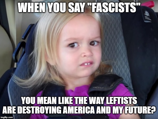 Huh? | WHEN YOU SAY "FASCISTS"; YOU MEAN LIKE THE WAY LEFTISTS ARE DESTROYING AMERICA AND MY FUTURE? | image tagged in huh | made w/ Imgflip meme maker