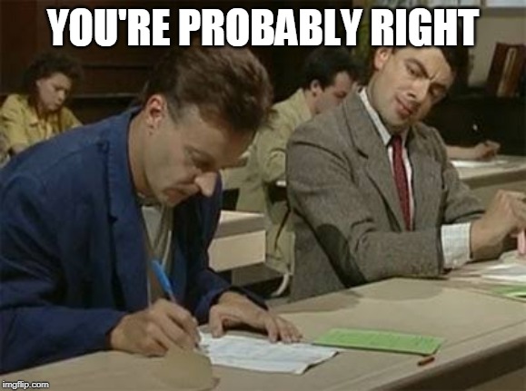Mr bean copying | YOU'RE PROBABLY RIGHT | image tagged in mr bean copying | made w/ Imgflip meme maker