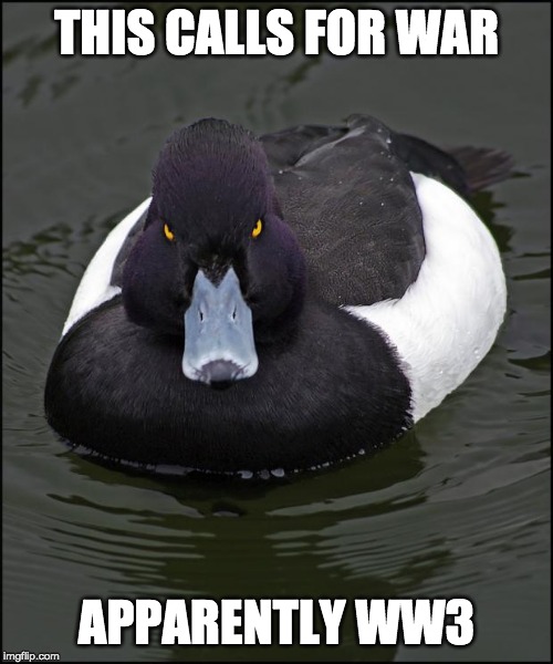 Angry duck | THIS CALLS FOR WAR; APPARENTLY WW3 | image tagged in angry duck | made w/ Imgflip meme maker
