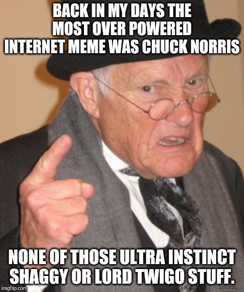 Back In My Day | BACK IN MY DAYS THE MOST OVER POWERED INTERNET MEME WAS CHUCK NORRIS; NONE OF THOSE ULTRA INSTINCT SHAGGY OR LORD TWIGO STUFF. | image tagged in memes,back in my day | made w/ Imgflip meme maker